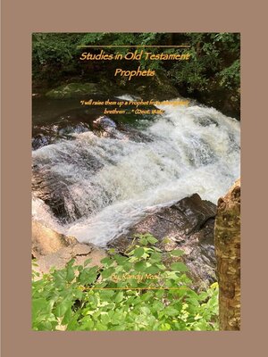 cover image of Studies in Old Testament Prophets